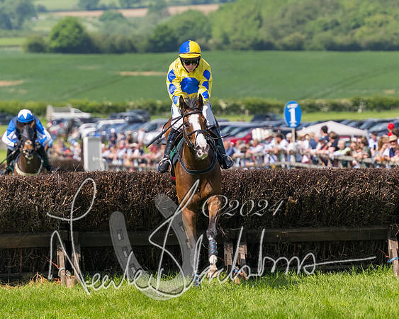 Race 2 - The Maiden  (279 of 442)
