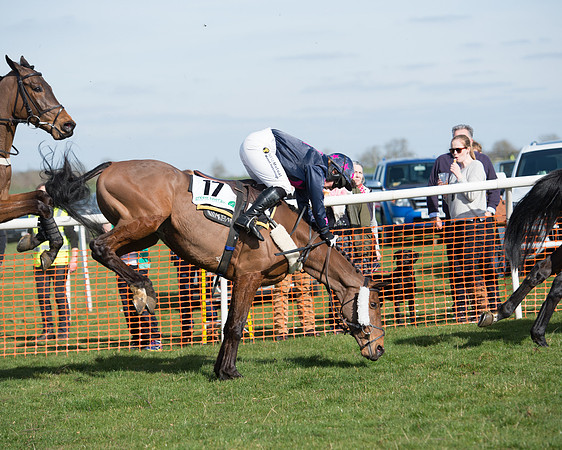 Race 2 - Open Maiden Div 2 (89 of 124).jpg