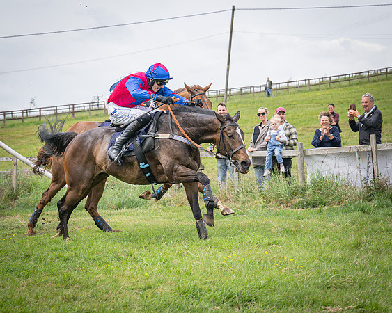 Race 2 - The Restricted race (56 of 84)