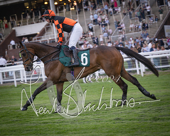 Race - 7 The Royal Gloucester Hussars Open Hunter's steeplechase 2m4f 127y (48 of 210)