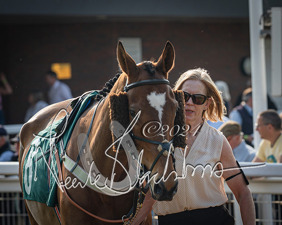 Race 2 - The Venatour sports travel intermediate point to point hunters’ steeplechase 5 year olds and over 3m2f (16 of 163)