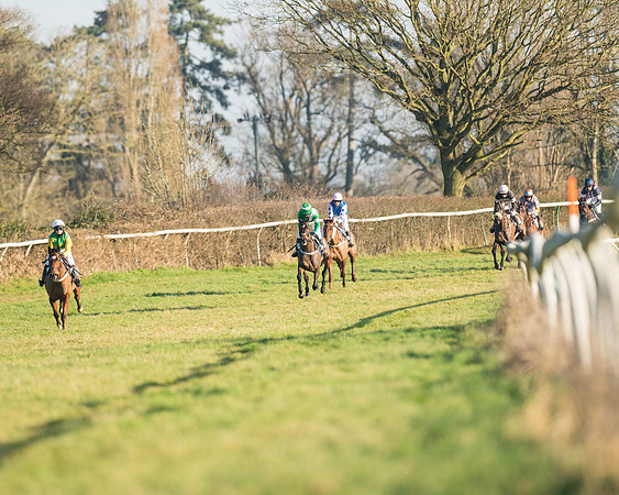 Race 2 - PPORA Novice Riders  (114 of 205)