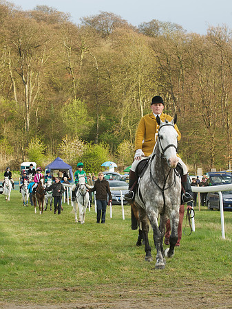 Pony Race 1 -  5