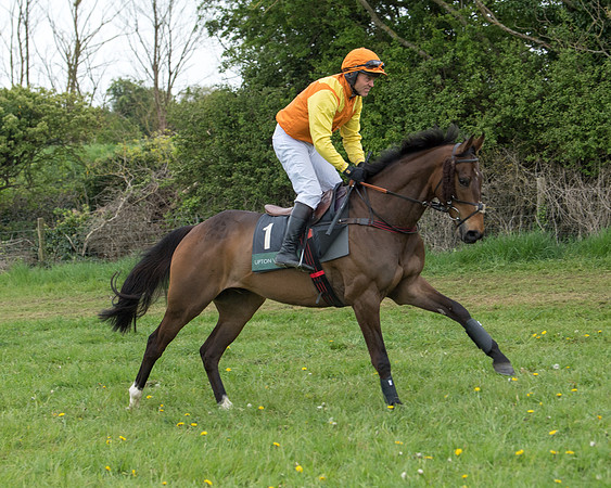 Race 6 - Restricted (89 of 173)