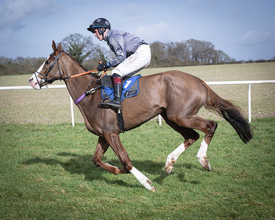 Race 3 - The Maiden Conditions (66 of 214)