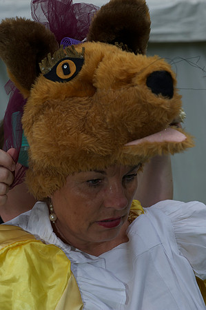 Fantastic Mr Fox 1