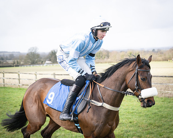 Race 1 - Four and Five year Old Maiden (43 of 137)