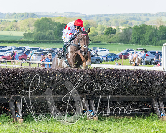 Race 7 - Veteran Horse (133 of 246)