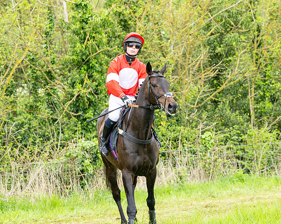 Race 2 - 2M4F Conditions (42 of 195)