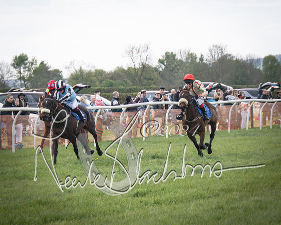 Pony Race 2 (40 of 84)-