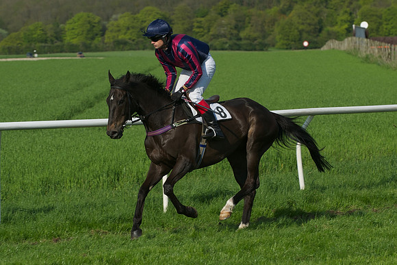 Race 7 -  13