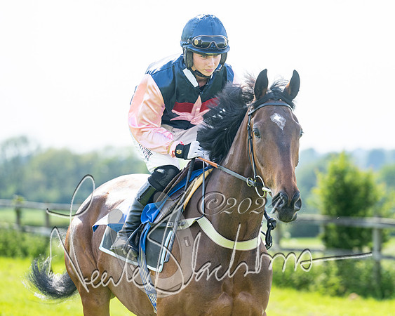 Race 5  - Maiden race 2m5F Div-1 (52 of 197)