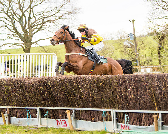 Race 6 - 6 year old and over Maiden 2m4f (33 of 62)
