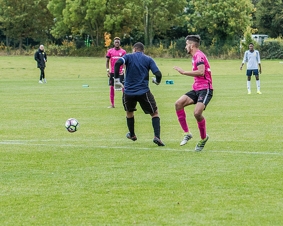 edsv 6-0 191016 (248 of 257)