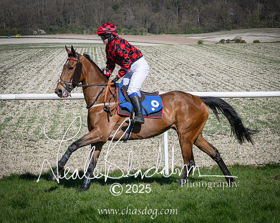 Race 5 - The restricted (34 of 113)