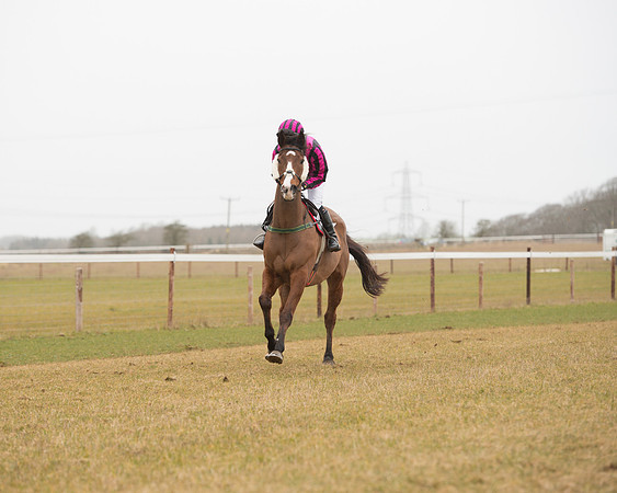 Race 6 - Open Maiden (68 of 120).jpg