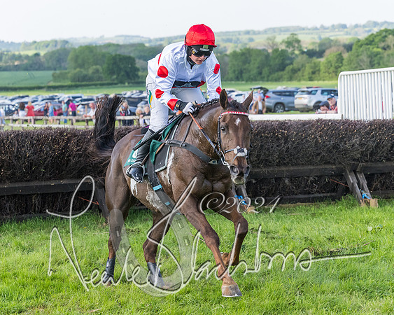 Race 7 - Veteran Horse (102 of 246)
