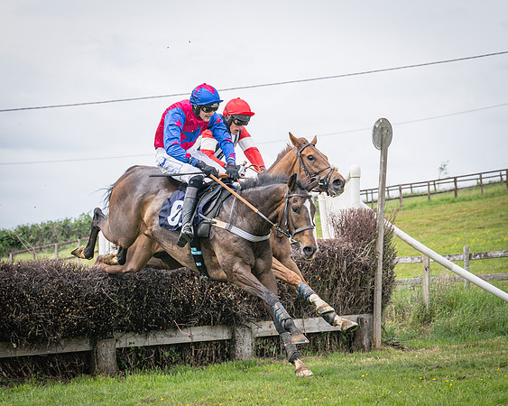 Race 2 - The Restricted race (54 of 84)