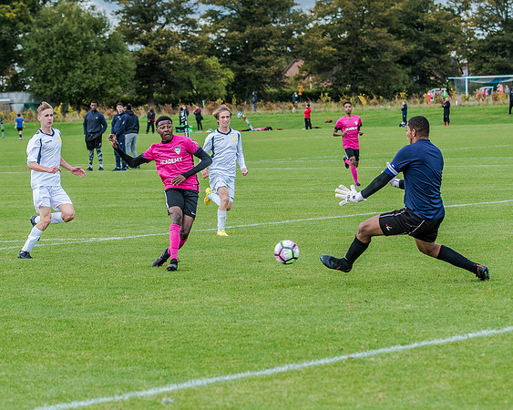 edsv 6-0 191016 (250 of 257)