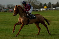 Race 6 - 15