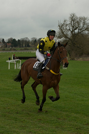 Mares Maiden -  15