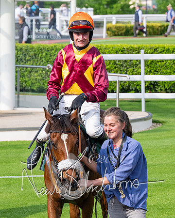 Race 1 - The Bottle Green Open Hunters steeplechase 2m62y (78 of 93)