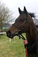 Race 6 - Hunt Members