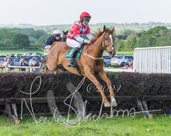 Race 7 - Veteran Horse (91 of 246)