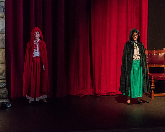 Beauty and the Beast (13 of 531)