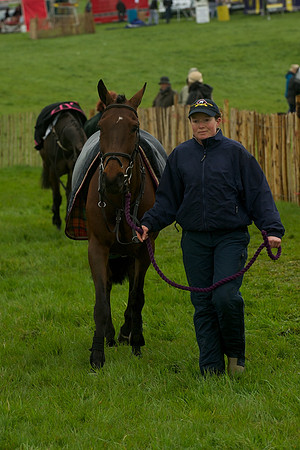 Race 8 - Pony Race 2 -  2
