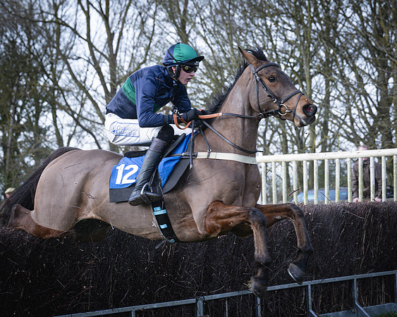 Race 2 - Maiden (90 of 145)