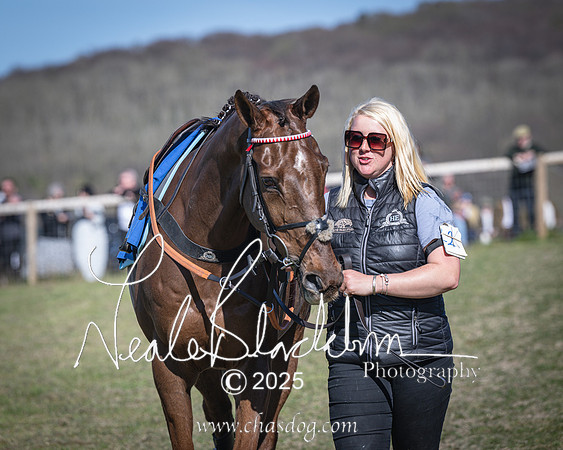 Race 6 - Veteran horse (13 of 109)