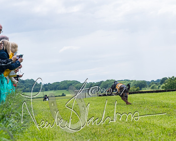 Race 7 - Hound Race etc (67 of 108)