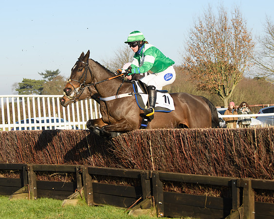 Race 2 - PPORA Novice Riders  (176 of 205)