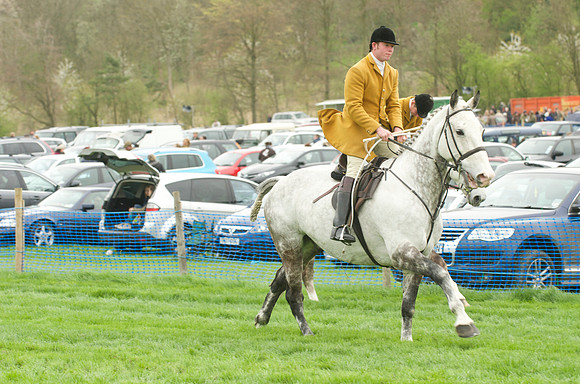 Race 4 - Nov-vets 13