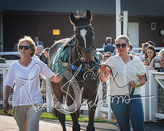 Race 3 - The Junior Jumpers open hunter's steeple chase 3m1f56y (10 of 156)