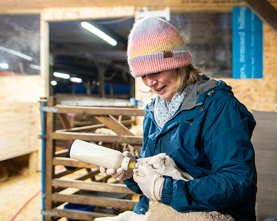 Lambing (85 of 111)