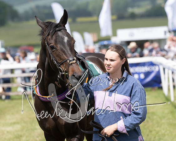 Race 1 - the Grafton adjacent hunts conditions race (level 2) (18 of 120)