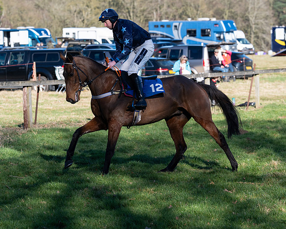 Race 5 - Maiden (16 of 123)