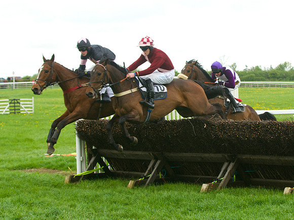 Race 5 - Restriced 33