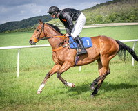 Race 4 - The Dickie Lim Mixed Open Race (14 of 101)