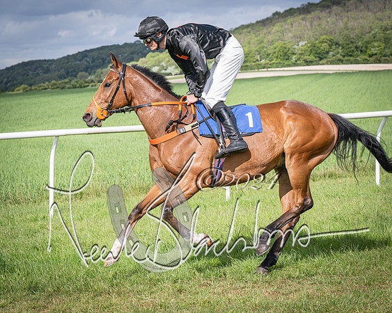 Race 4 - The Dickie Lim Mixed Open Race (14 of 101)