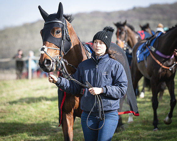 Race 1 - Four and Five year Old Maiden (17 of 137)