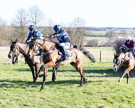 Race 5 - Maiden (112 of 123)