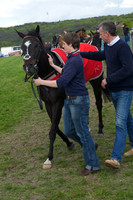 Pony Race 2 - 9