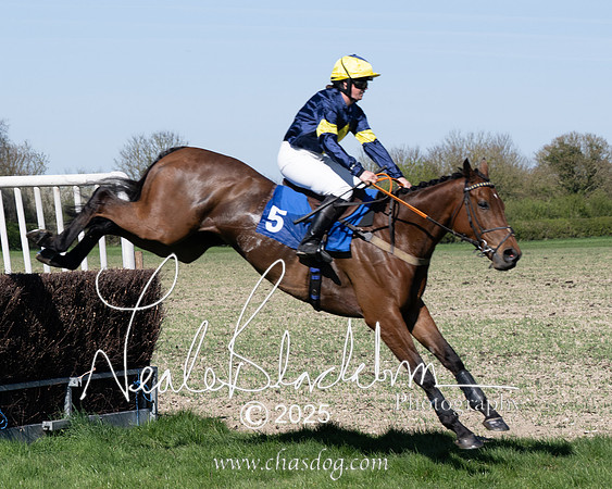Race 5 - The restricted (52 of 113)