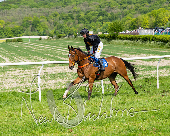 Race 3 - Ladies Open  (52 of 133)