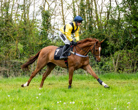Race 3 - Young Horse Maiden (20 of 216)