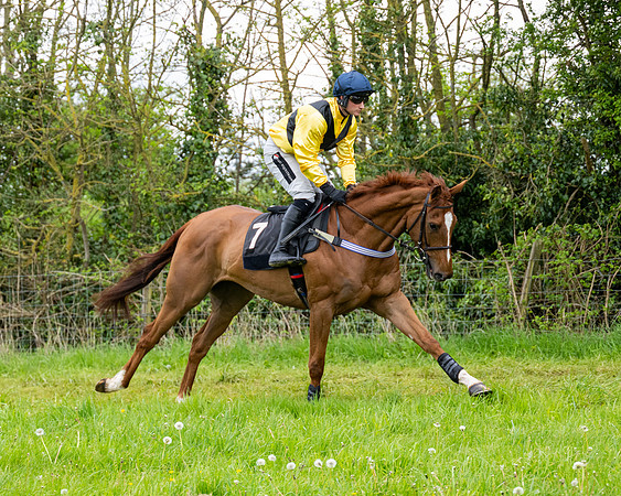 Race 3 - Young Horse Maiden (20 of 216)