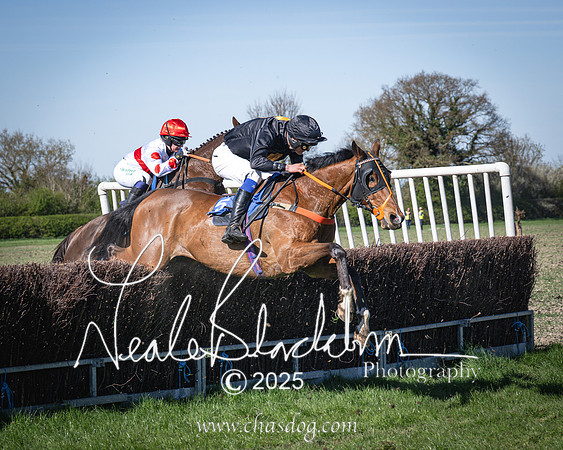 Race 6 - Veteran horse (80 of 109)